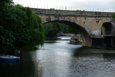 DSC_2703 (Large).JPG